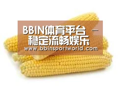 产品名称五