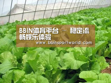种植基地一