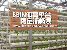 环境展示六
