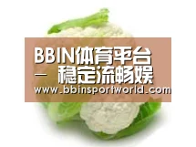 产品名称九