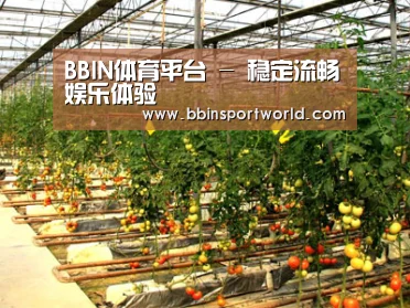 种植基地二